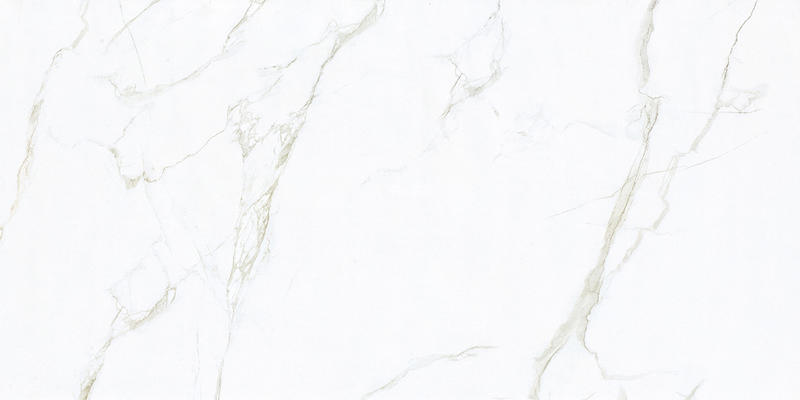 FATONG_60x120cm_White_Marble_Porcelain_Tiles.jpg