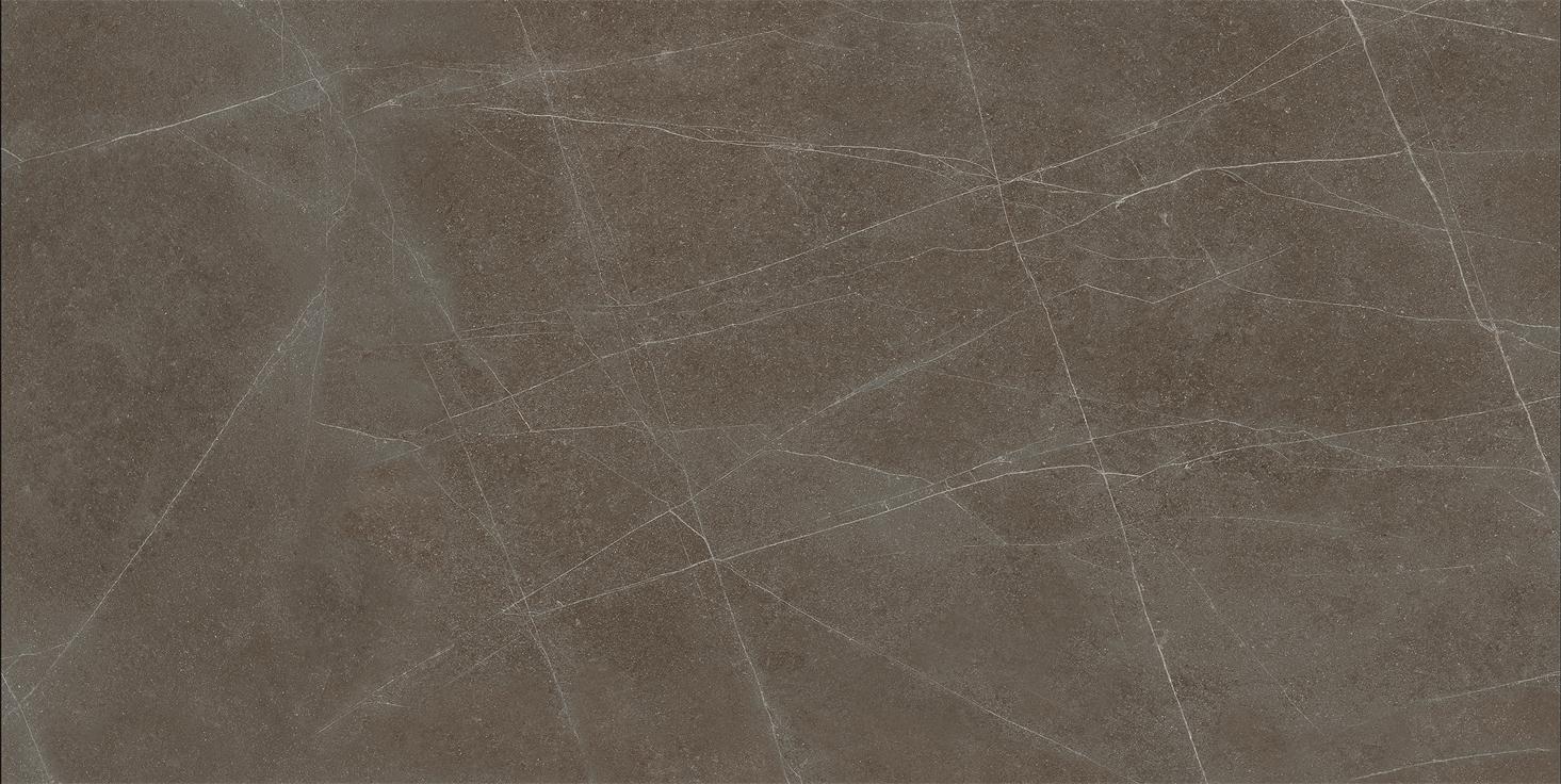 porcelain_floor_Brown_Wall_tile_60x120cm_Indoor.jpg